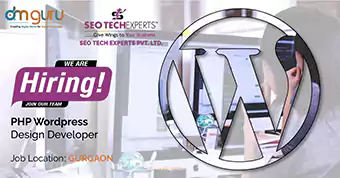 PHP Wordpress Design Developer at SEO Tech Experts Pvt. Ltd.