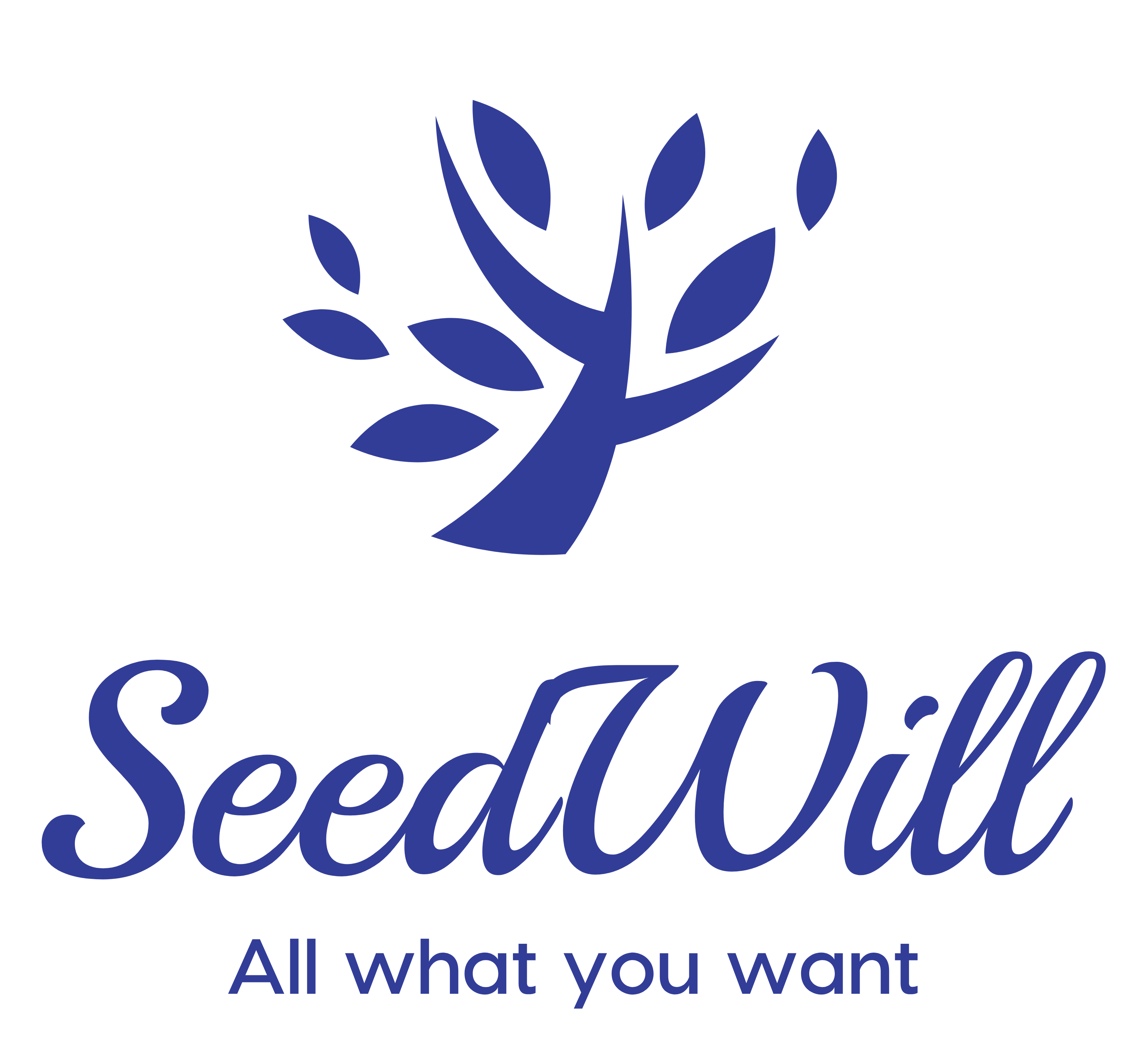 Digital Marketing Executive Job/Vacancy at SeedWill Consulting PVT. LTD.